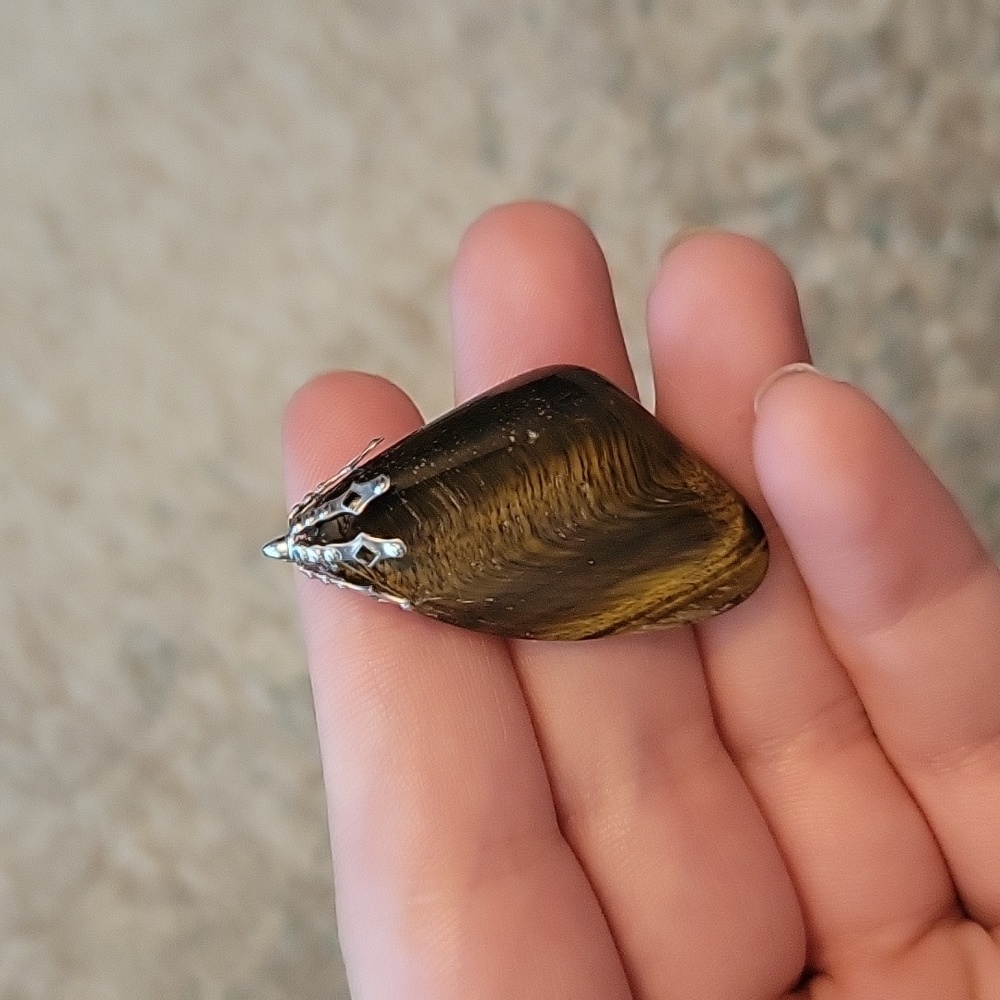 Tiger Eye Necklace